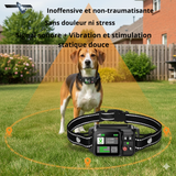 Système Anti-Fugue GPS pour Chien Fugueur - Clôture Invisible 2000M Grands Espaces