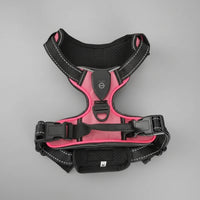 Harnais LED Rechargeable pour Chien - Promenades Nocturnes Sécurisées (Toutes Tailles)