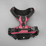 Harnais LED Rechargeable pour Chien - Promenades Nocturnes Sécurisées (Toutes Tailles)