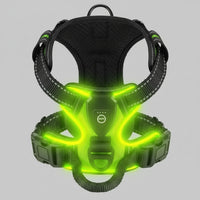 Harnais LED Rechargeable pour Chien - Promenades Nocturnes Sécurisées (Toutes Tailles)