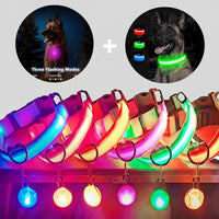 Collier LED pour Chien avec Pendentif Lumineux - Promenades de Nuit Sécurisées  (Rechargeable & Imperméable)