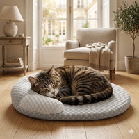 Chat tigré endormi paisiblement sur un coussin orthopédique rond gris et blanc posé sur un parquet de salon lumineux.