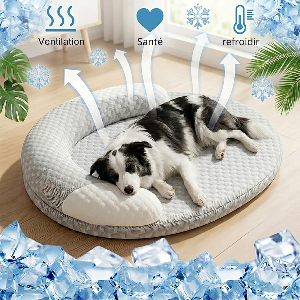 Panier rafraîchissant pour chien senior, confort et bien-être en été
