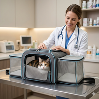 Une vétérinaire en blouse blanche examine un chat tricolore installé dans son sac de transport extensible gris et bleu posé sur une table de consultation en inox.