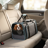 Chien Cavalier King Charles installé dans son sac de transport gris et bleu, posé de manière sécurisée sur la banquette arrière en cuir d'une voiture.